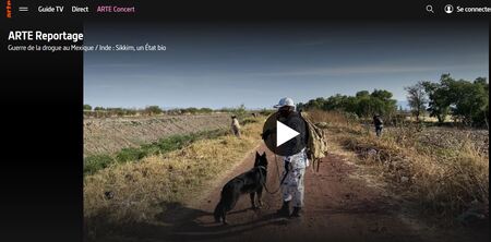 Guerre de la drogue au Mexique : l'impossible deuil (…)