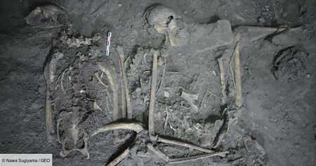Les restes d'un singe vieux de 1700 ans éclairent (…)