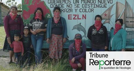 Au Chiapas, des milices s'approprient les terres (…)