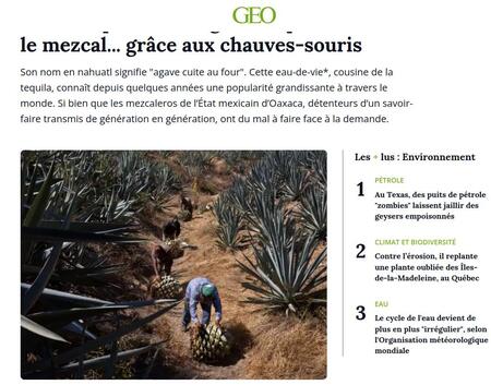 Sur Géo Magazine : Au Mexique, un village lutte pour (…)