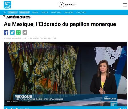 Sur France24 : Au Mexique, l'Eldorado du papillon (…)