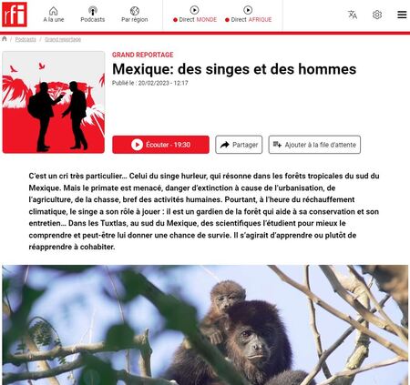 Mexique : des singes et des hommes (sur RFI.fr)