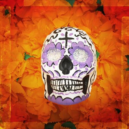 Patrick Bard - Calaveras, Mexique la mort joyeuse